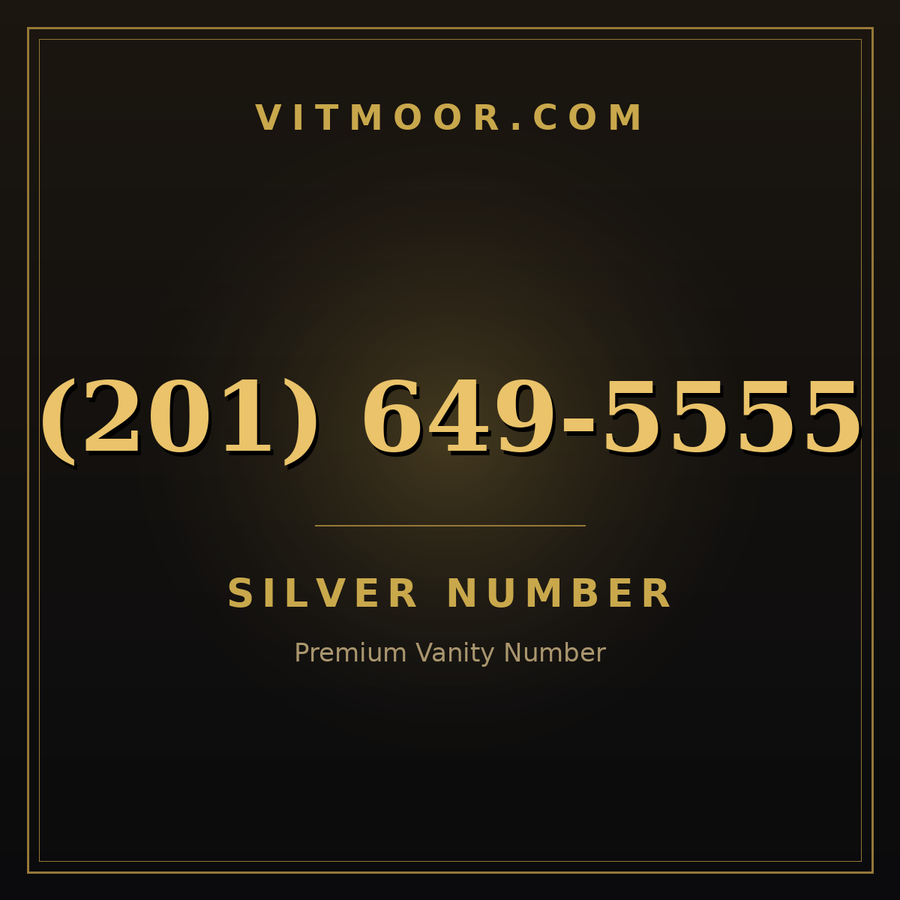 VITMOOR Silver premium number (201) 649-5555