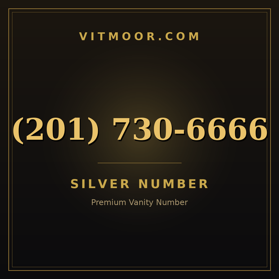 VITMOOR Silver premium number (201) 730-6666