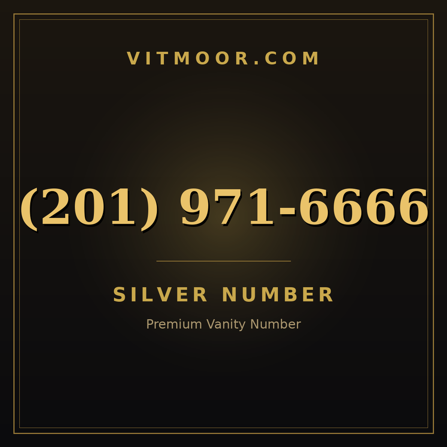VITMOOR Silver premium number (201) 971-6666