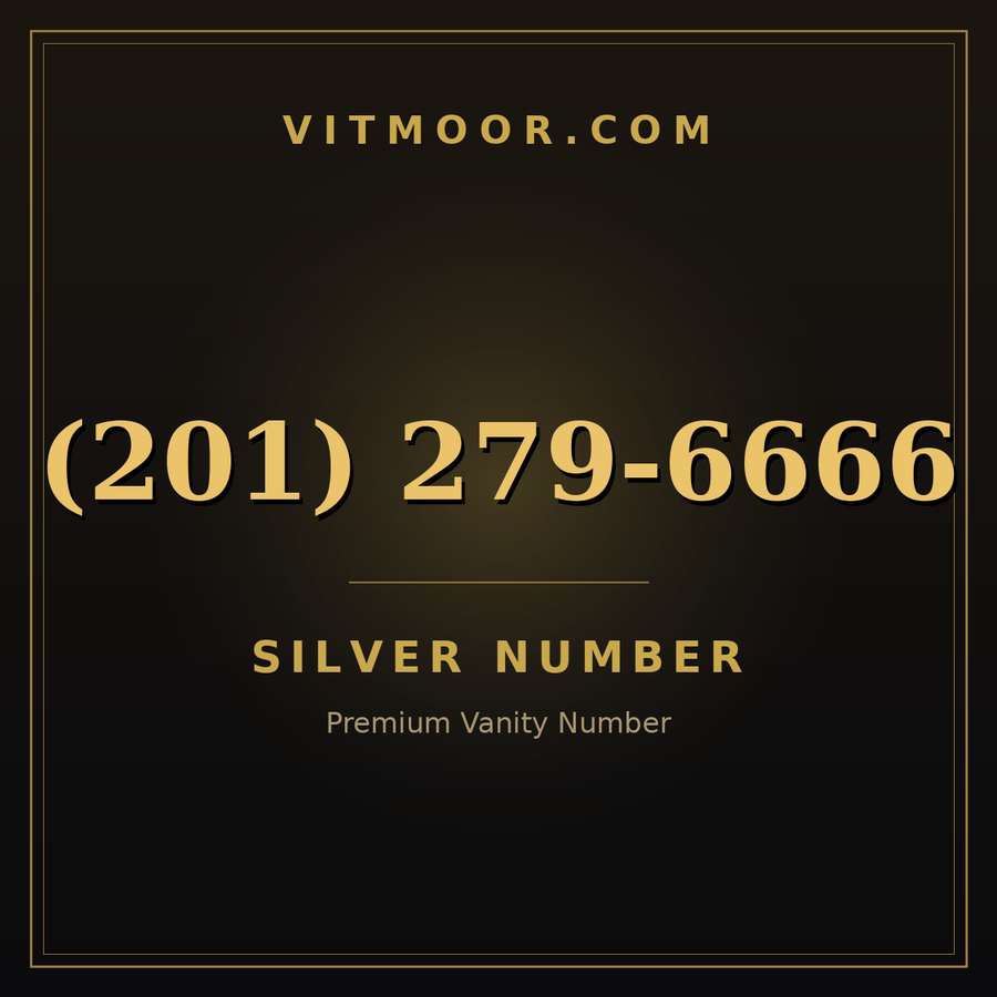 VITMOOR Silver premium number (201) 279-6666