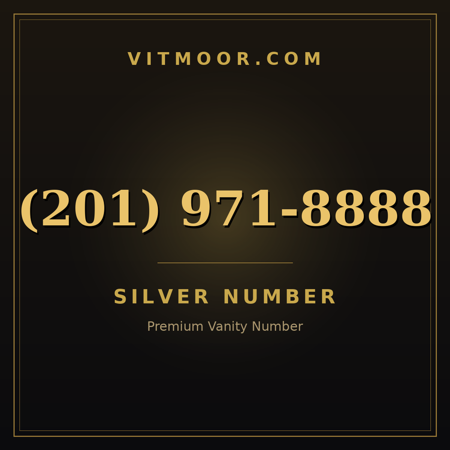 VITMOOR Silver premium number (201) 971-8888