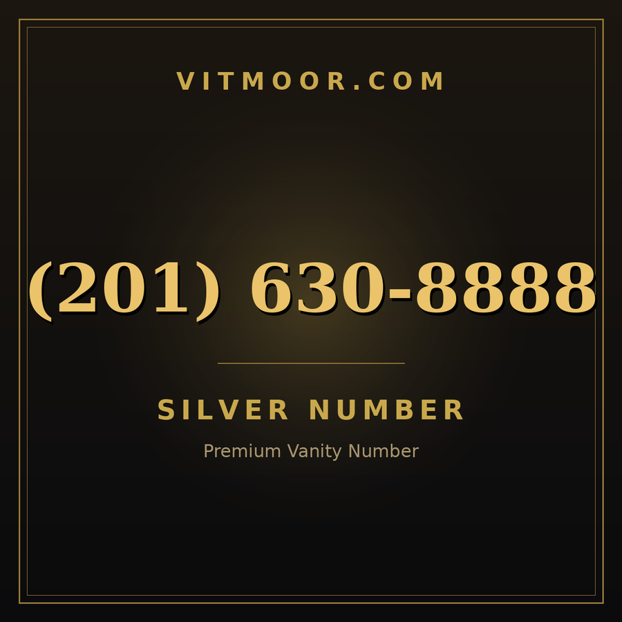 VITMOOR Silver premium number (201) 630-8888