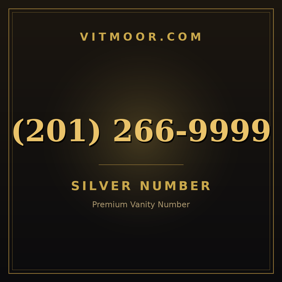 VITMOOR Silver premium number (201) 266-9999