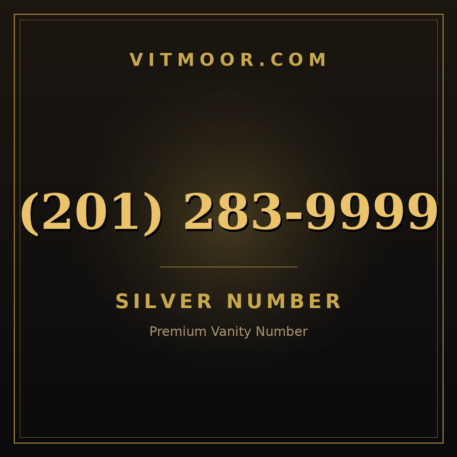 VITMOOR Silver premium number (201) 283-9999