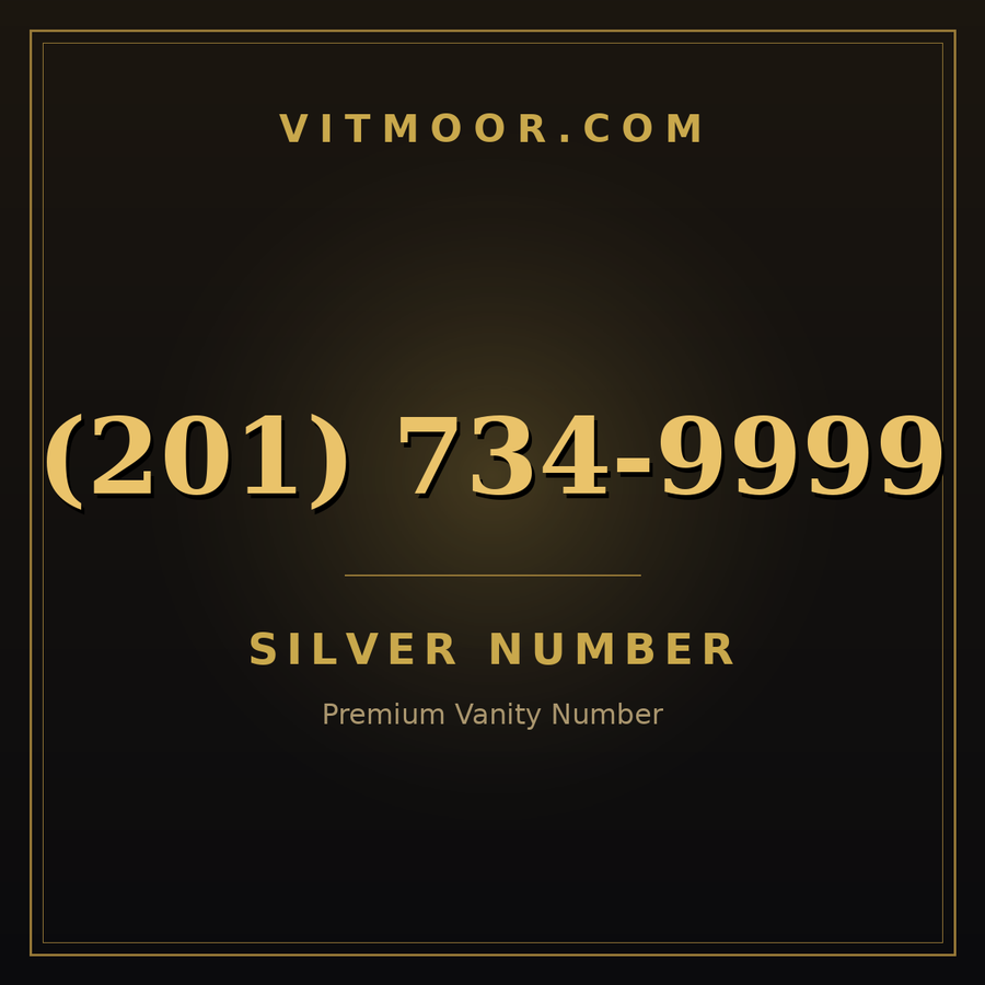 VITMOOR Silver premium number (201) 734-9999