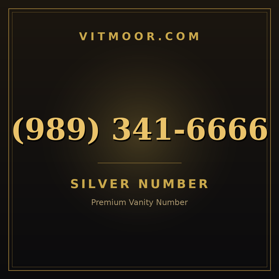 VITMOOR Silver premium number (989) 341-6666