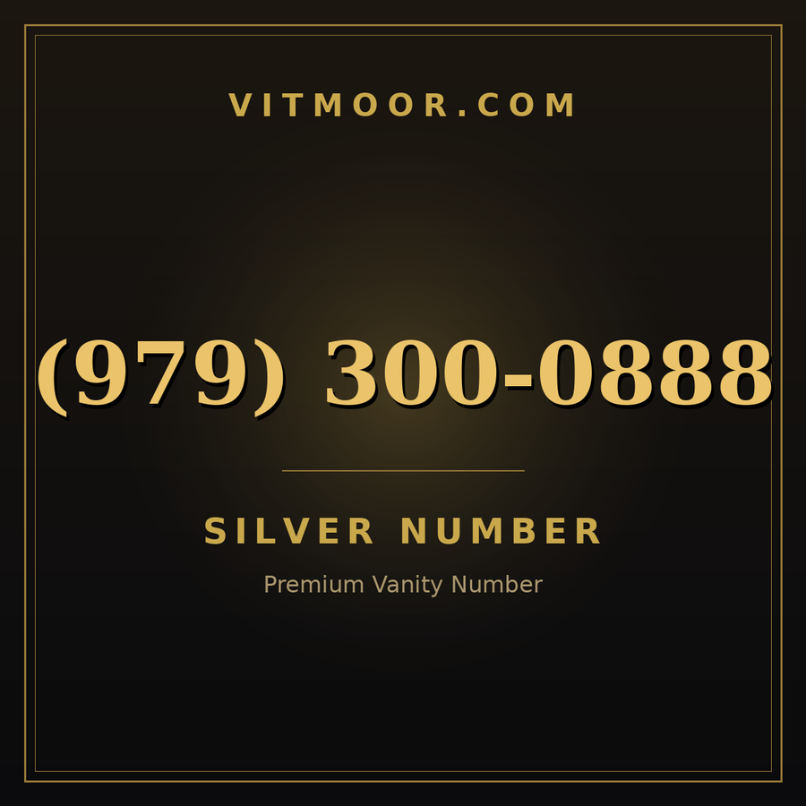 VITMOOR Silver premium number (979) 300-0888