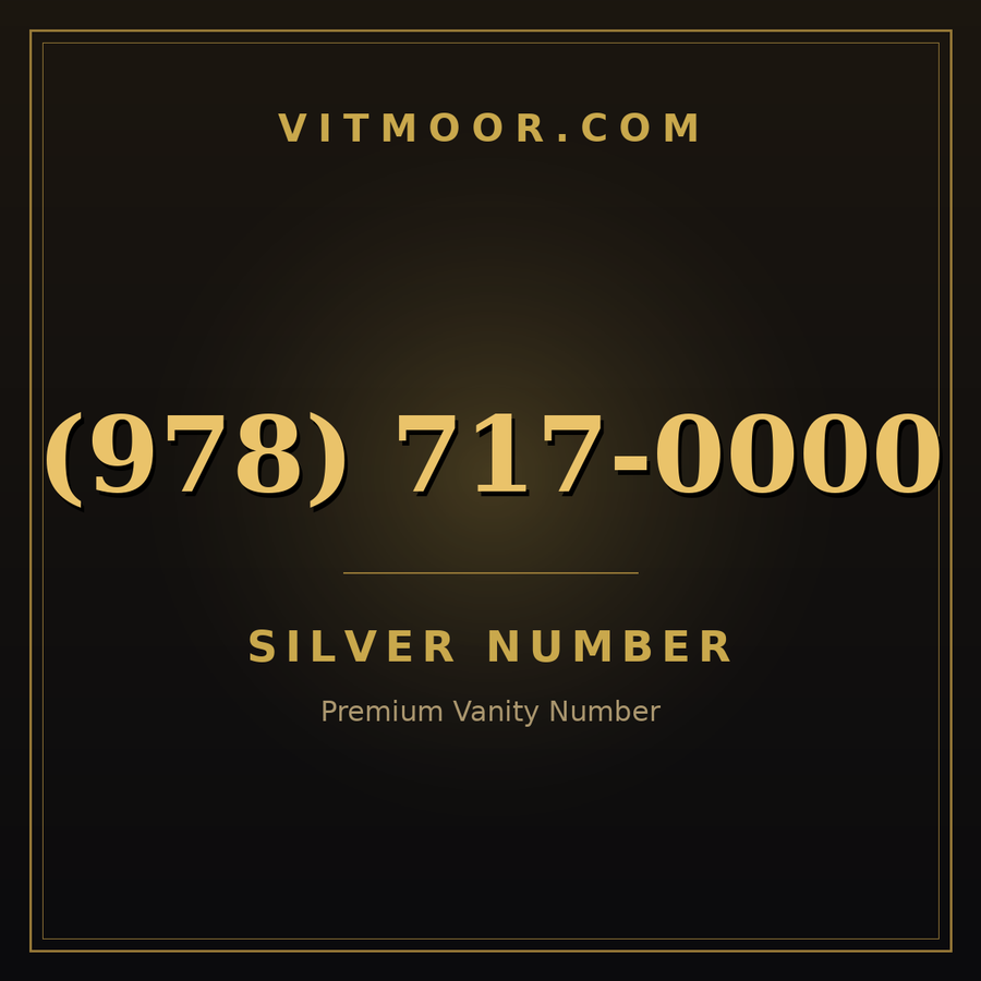 VITMOOR Silver premium number (978) 717-0000