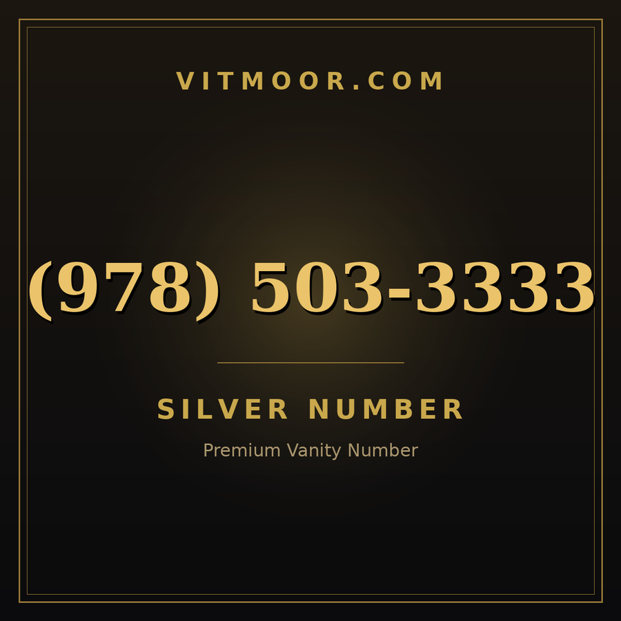 VITMOOR Silver premium number (978) 503-3333