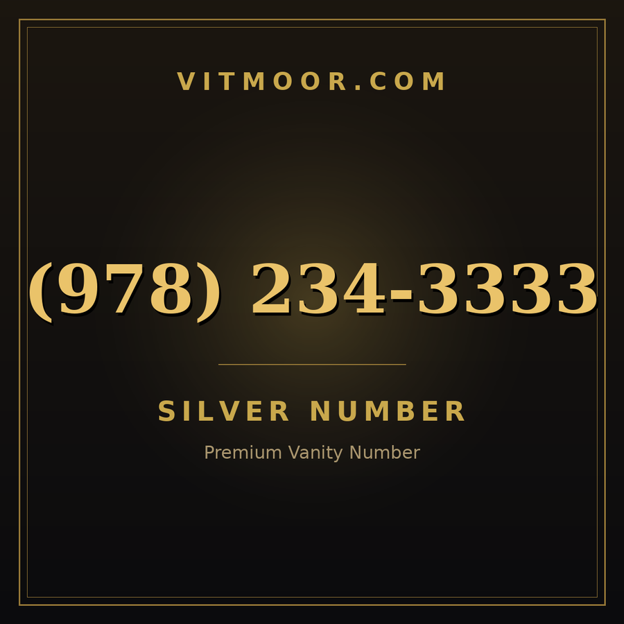 VITMOOR Silver premium number (978) 234-3333
