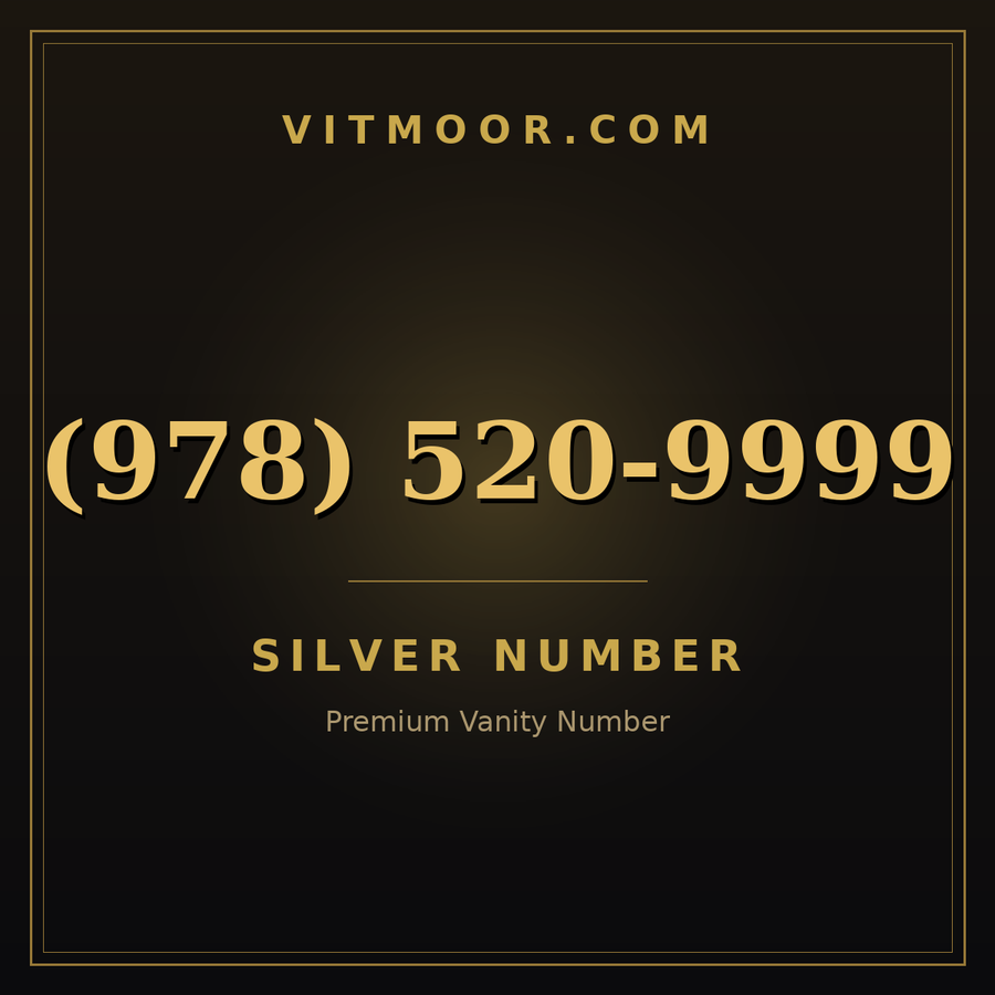 VITMOOR Silver premium number (978) 520-9999