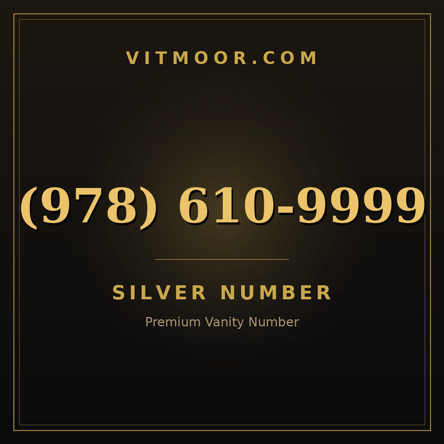 VITMOOR Silver premium number (978) 610-9999