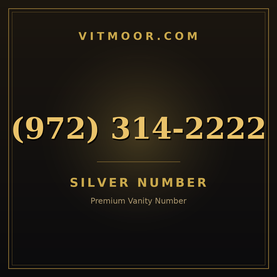 VITMOOR Silver premium number (972) 314-2222