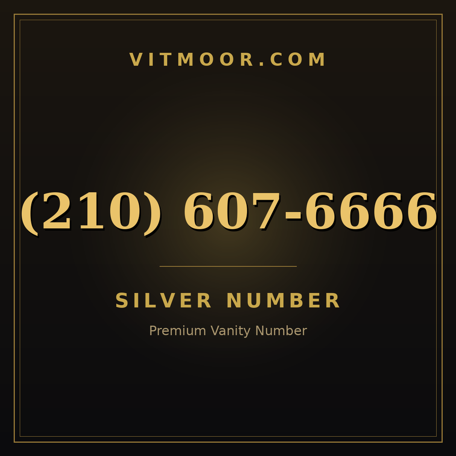 VITMOOR Silver premium number (210) 607-6666